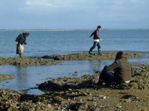 9 - Découverte de la vie marine