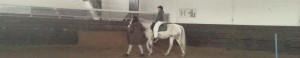 2 - Mon ami, mon poney