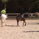 3 - Mon ami, mon poney