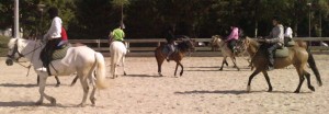3 - Mon ami, mon poney