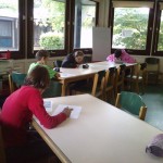 8 - Cours sur le cheval