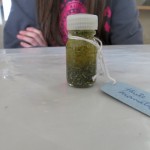 3 - Fabrication huile aromatique