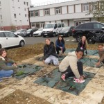 Mise en place des plantes aromatiques 1