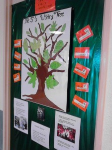 Wishing tree of the class 3